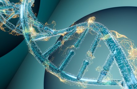 科技名詞|移碼突變 frameshift mutation