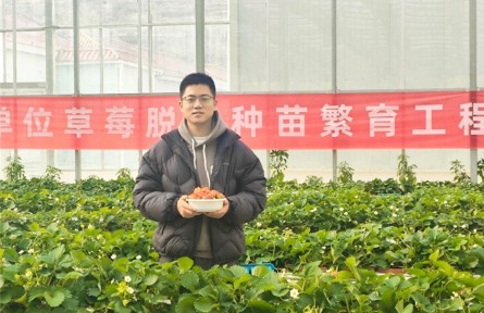 選調(diào)生于達(dá)程：像一顆草莓，把酸澀釀成甘甜