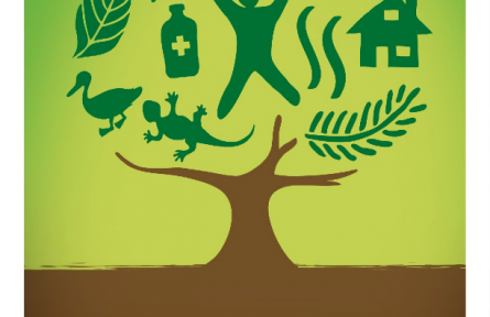 國(guó)際森林日|守護(hù)森林，守護(hù)生命之源