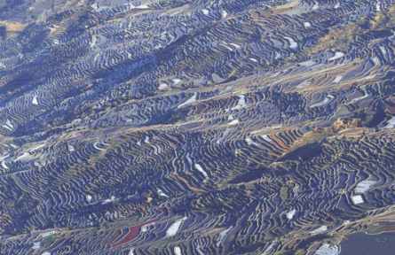 云南紅河哈尼梯田：“四素同構(gòu)”的生態(tài)傳奇