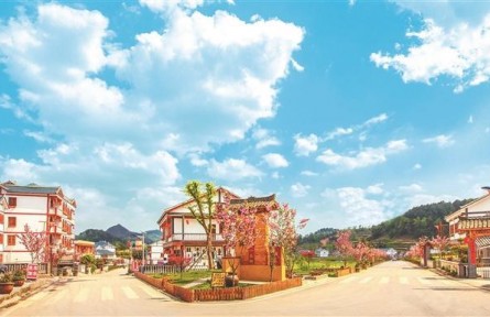 貴州：農(nóng)業(yè)更高效 村民日子火