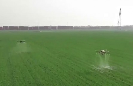 河北邢臺(tái)：農(nóng)業(yè)AI大模型為春耕注入數(shù)智新動(dòng)能