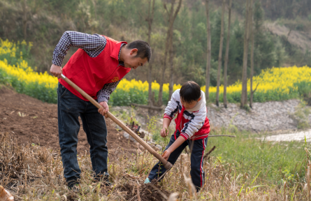 全民義務(wù)植樹運(yùn)動(dòng) nationwide voluntary tree-planting campaign