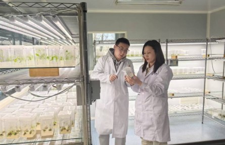 解鎖黑龍江備耕“新”事