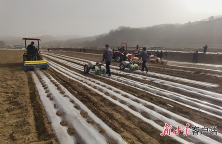 甘肅：緊盯目標(biāo) 做實(shí)農(nóng)業(yè)豐收大文章