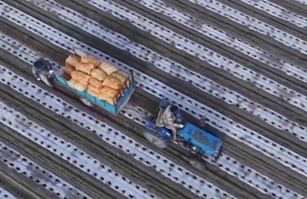 新疆瑪納斯：6000畝土豆開播 機械化種植節(jié)本增效