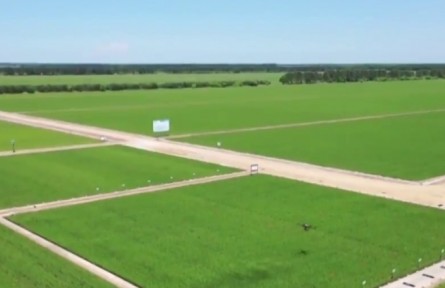 黑龍江：豐收“底氣”的由來(lái)