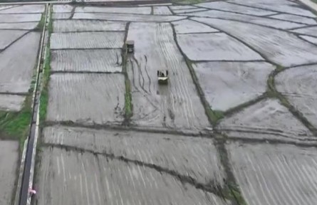 【在希望的田野上】全國春播糧食超過一億畝