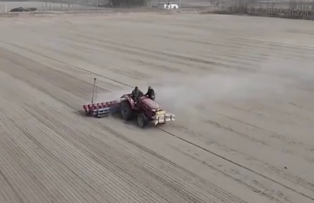新疆昆玉：沙漠水稻開(kāi)播耕種 改良土質(zhì)提高經(jīng)濟(jì)效益