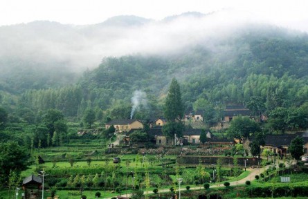 湖北麻城：茯苓窩的生態(tài)價值轉化之路