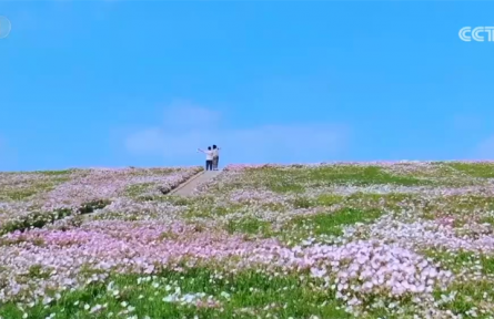 農業(yè)農村部推出“美麗鄉(xiāng)村游”60條精品線路 有何“亮點”？