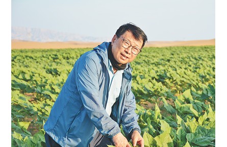 力學(xué)專家，跨界治沙