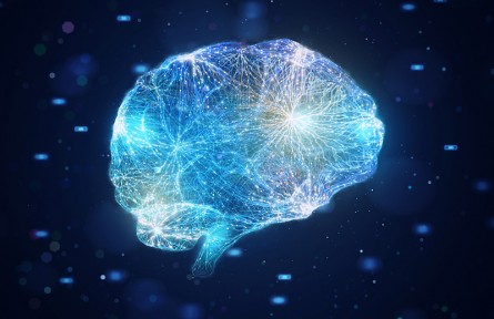 科技名詞|神經激素 neurohormone