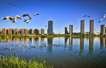 內(nèi)蒙古鄂爾多斯：全面釋放可持續(xù)發(fā)展活力