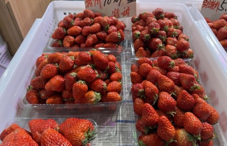 辟謠|最近不能吃草莓，因?yàn)橛小安葺痢保?></a></td>
<td align=