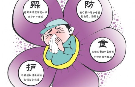 春季花粉過(guò)敏高發(fā)，“罪魁禍?zhǔn)住本谷徊皇腔?></a></td>
<td align=