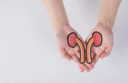 辟謠|一喝水就上廁所說(shuō)明腎不好？吃黑色食物能養(yǎng)腎？來(lái)看真相