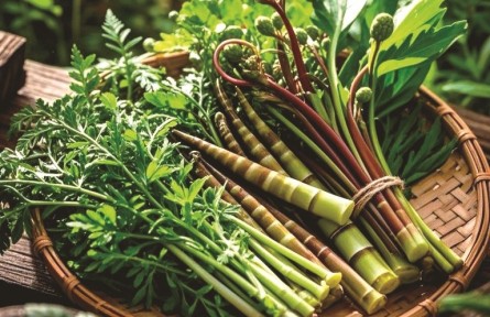 野菜嘗鮮季，如何避免舌尖風(fēng)險(xiǎn)