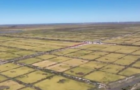 吉林：守住耕地紅線 端牢中國(guó)飯碗