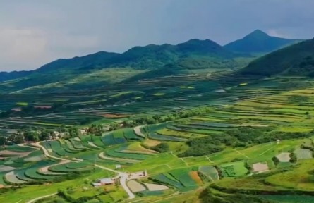 甘肅：立足特色興業(yè)強(qiáng)村 助力鄉(xiāng)村全面振興