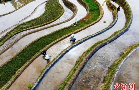 貴州從江：春耕農(nóng)事忙