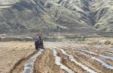 甘肅：科技助力生產(chǎn) 夯實(shí)豐收基礎(chǔ)