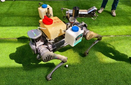 當(dāng)“科技感”碰撞“文化味”——在壽光菜博會感受現(xiàn)代農(nóng)業(yè)“新花樣”