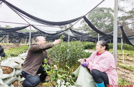 全國(guó)崗位學(xué)雷鋒標(biāo)兵鄧蔭偉：點(diǎn)樹成金的“泥腿教授”