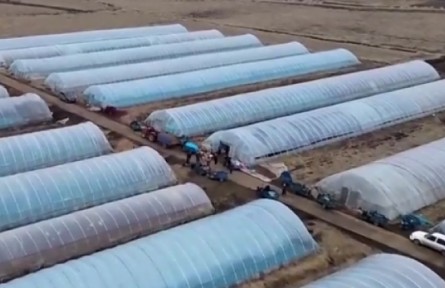 吉林：科技助力育壯秧 保障糧食增產(chǎn)