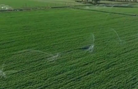 【在希望的田野上】各地高效有序推進(jìn)春耕春管