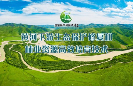 黃河下游生態(tài)保護修復和林業(yè)資源高效栽培技術(shù)（系列講座視頻）