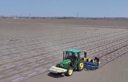 2025年一季度農(nóng)機(jī)市場景氣指數(shù)上揚(yáng)利好