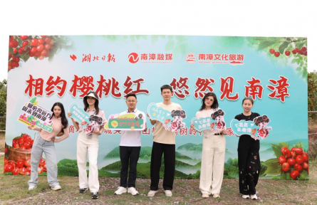 湖北南漳：荒山變果園 萬畝櫻桃繪就農(nóng)旅融合新畫卷