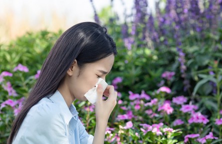 辟謠|對花粉過敏的人不能賞花？