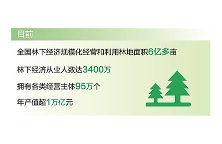 發(fā)展林下經(jīng)濟首次寫入《政府工作報告》 我國林下經(jīng)濟年產(chǎn)值超1萬億元