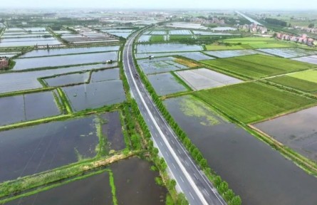 湖北江陵：小龍蝦“鏈”出大產(chǎn)業(yè)！繪就農(nóng)業(yè)發(fā)展新圖景