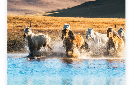 名言|曾子：人非人不濟(jì)，馬非馬不走，土非土不高，水非水不流