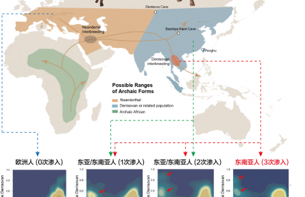東南亞人群基因密碼破譯 填補(bǔ)全球人類(lèi)基因組研究“最后一塊拼圖”