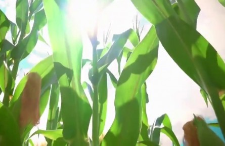 黑龍江：“金”非昔比的千億級跨越