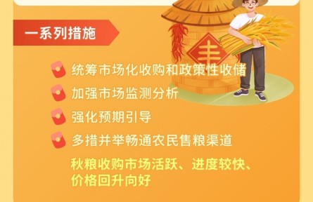 全國秋糧收購?fù)昝朗展?新一季夏糧收購即將開啟