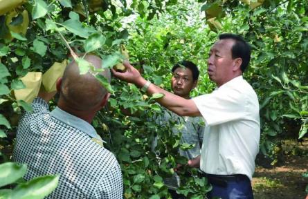 楊雙牛：40年深耕，石頭縫里長(zhǎng)出億元產(chǎn)業(yè)