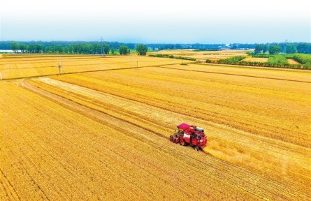 奮力書寫“中國(guó)飯碗”的河南擔(dān)當(dāng)