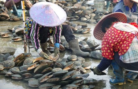 全球農(nóng)業(yè)文化遺產(chǎn)上新，為何是它們？