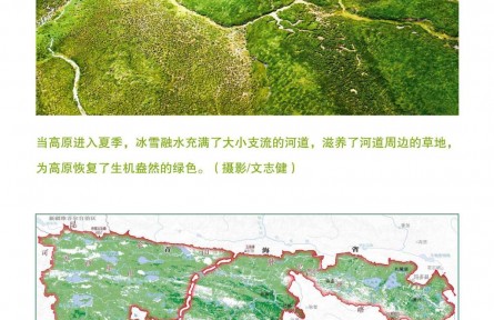 走近三江源|呵護(hù)三江源：高原生物的寄托——草