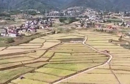 【在希望的田野上·三夏時節(jié)】各地搶抓夏收夏種 夯實糧食豐收基礎