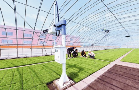 以發(fā)展新質(zhì)生產(chǎn)力塑造全面振興新優(yōu)勢(shì)