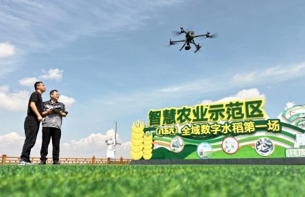 科技賦能解鎖插秧“新姿勢”