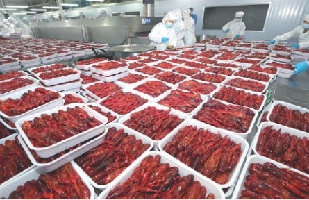 “小龍蝦自由”進(jìn)入下半場(chǎng)