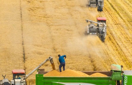 蓄足“水動(dòng)力” 多地抗旱保糧一線觀察