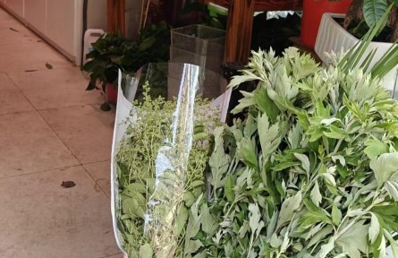 身價大漲！艾草花束成年輕人的端午“新寵”